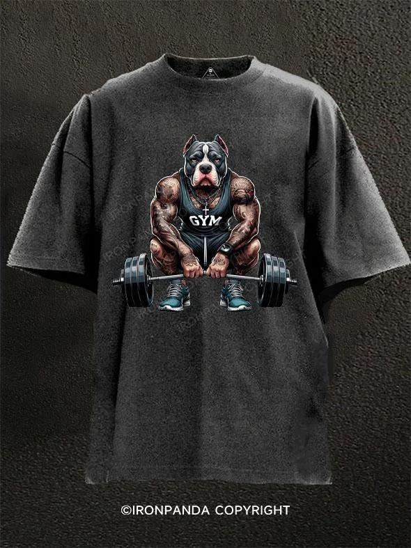 T-Shirt-Moisture-Wicking-Pitbull Gym Washed Gym Shirt