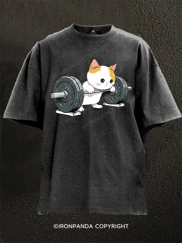 T-Shirt-Graphic-Whimsical Cat Workout Washed Gym Shirt