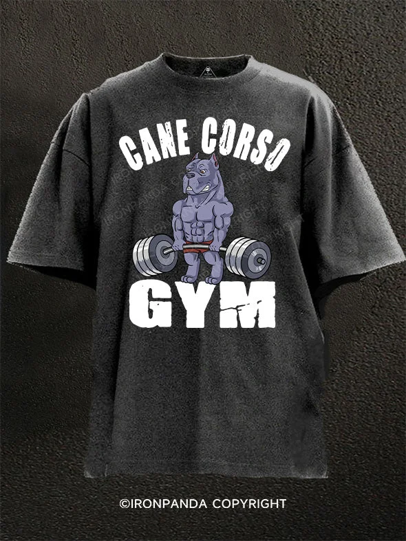 T-Shirt-Moisture-Wicking-Cane Corso gym Washed Gym Shirt