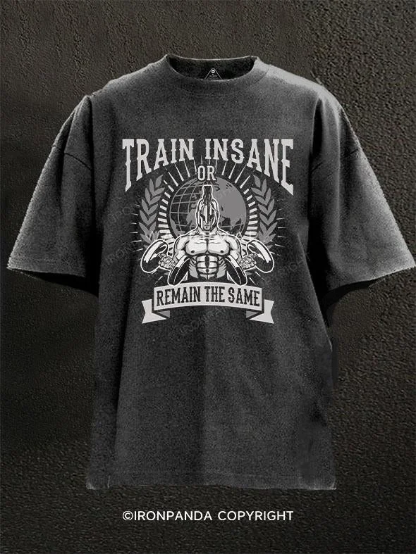 T-Shirt-Recycled-Train Ins ane or remain the same Washed Gym Shirt